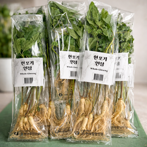 한포기 인삼 (1팩당 생인삼 1포기)